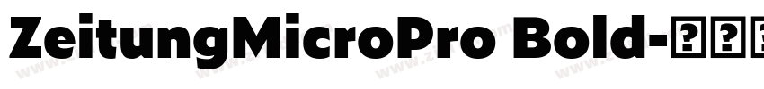 ZeitungMicroPro Bold字体转换